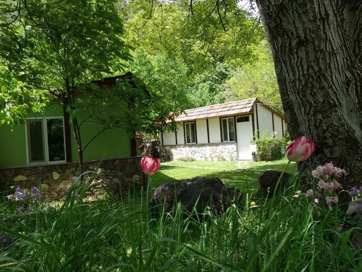 Eco Garden Hotel Dilijan Exterior photo
